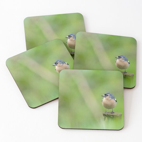 Item preview, Azores Chaffinch designed and sold by ansaharju.