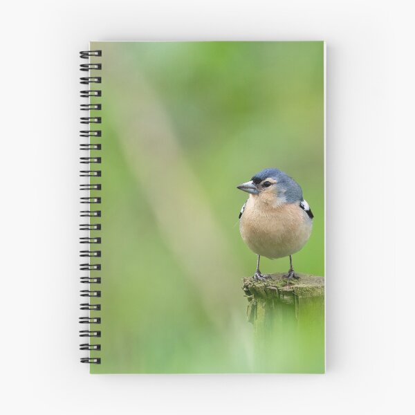 Item preview, Azores Chaffinch designed and sold by ansaharju.