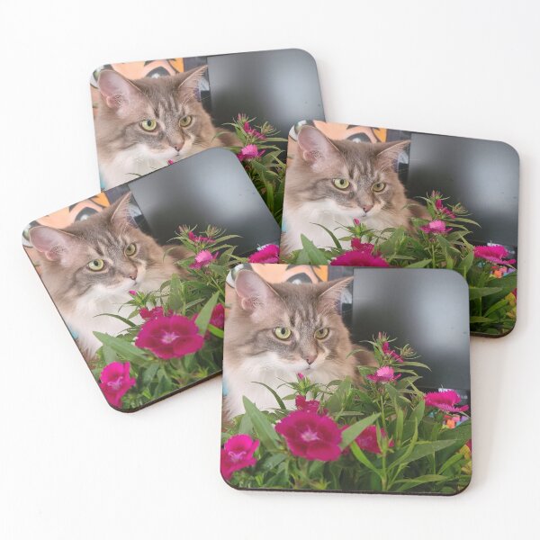 Item preview, Cat With Flowers designed and sold by PopeAdmiral.