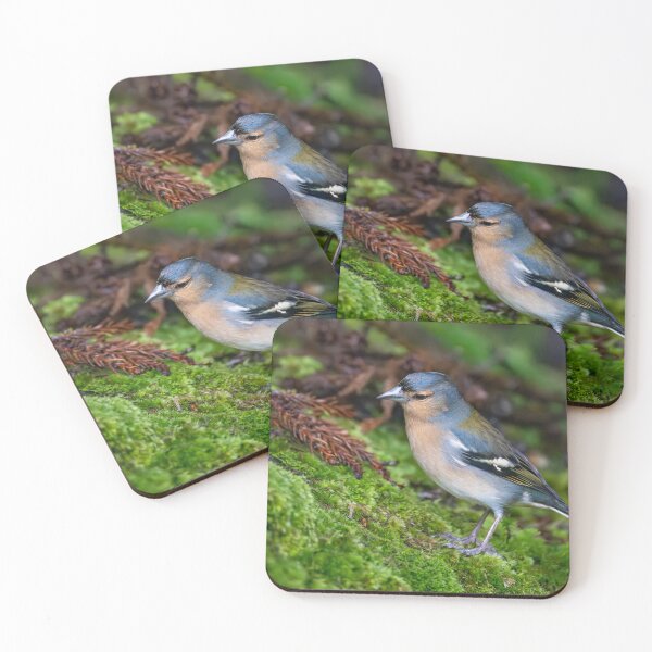 Item preview, Azores Chaffinch in Terceira designed and sold by ansaharju.