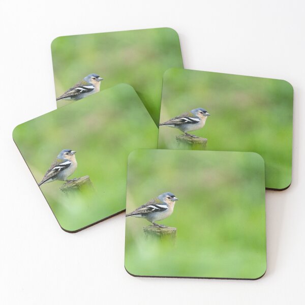 Item preview, Azores Chaffinch designed and sold by ansaharju.