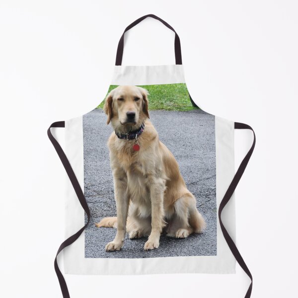 Item preview, DORY designed and sold by Visit Upstate.