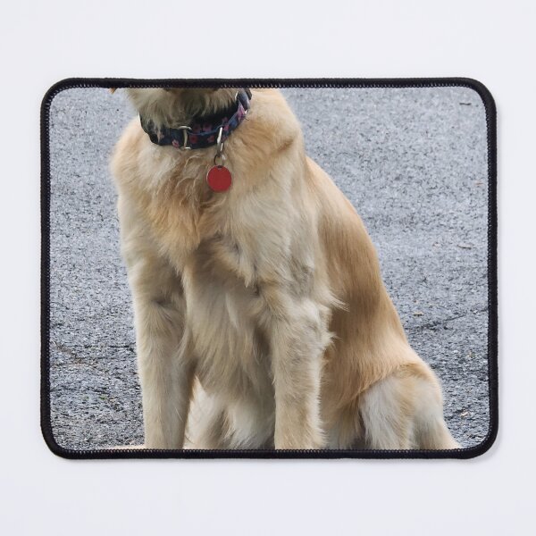 Item preview, DORY  designed and sold by Visit Upstate.