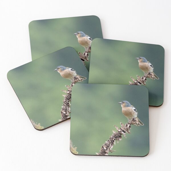 Item preview, Azores Chaffinch designed and sold by ansaharju.