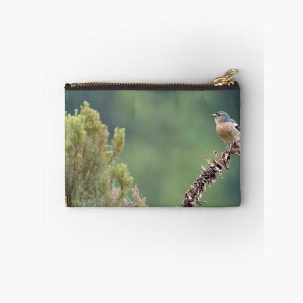 Item preview, Azores Chaffinch designed and sold by ansaharju.