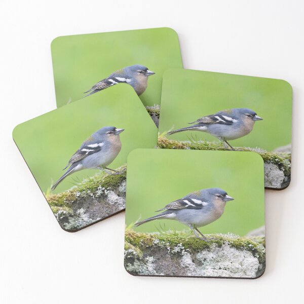 Item preview, Male Azores Chaffinch designed and sold by ansaharju.