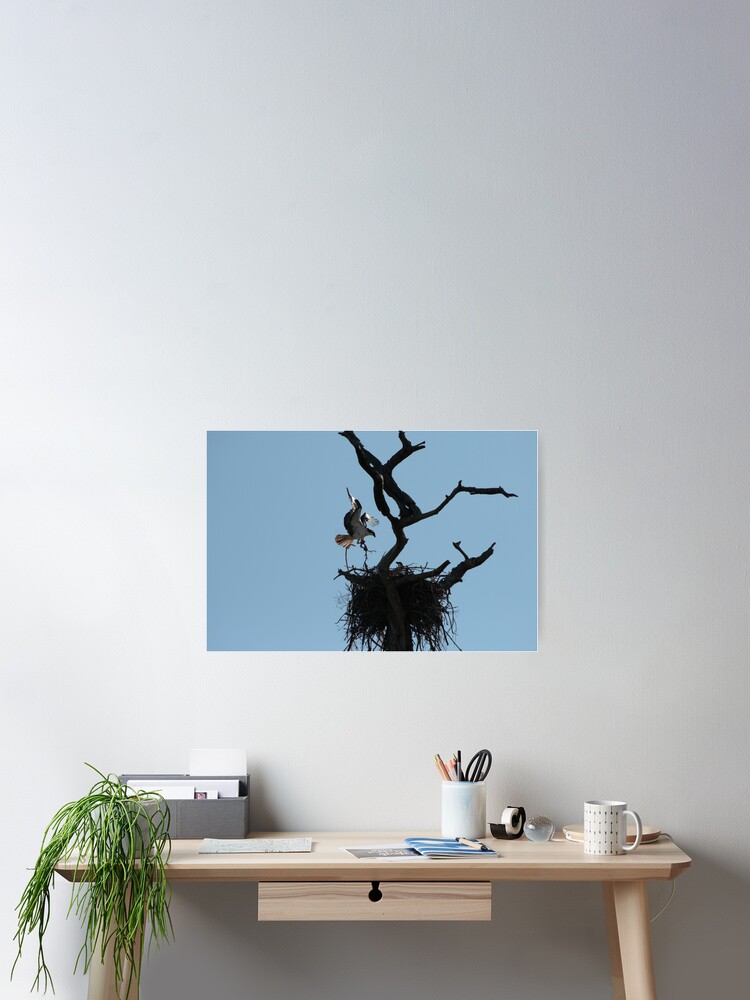 Thumbnail 2 of 3, Poster, Making a Home designed and sold by ginatheloca.