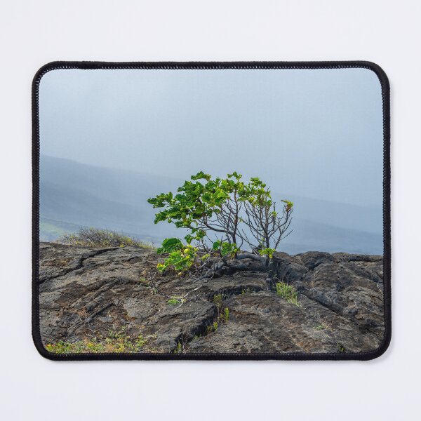 Item preview, Noni Tree in Volcanic Field designed and sold by SafariByMarisa.