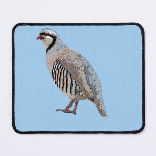 Item preview, Chukar Color Design designed and sold by designsasstultd.