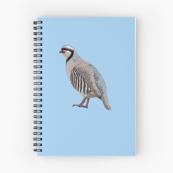 Item preview, Chukar Color Design  designed and sold by designsasstultd.