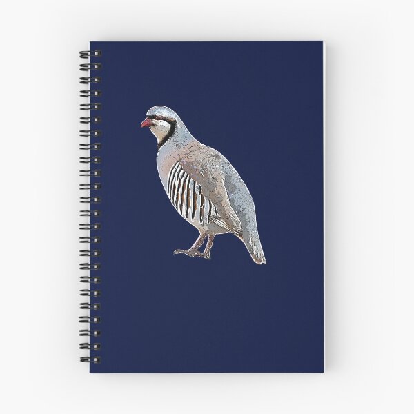 Item preview, Chukar White Alternate Design  designed and sold by designsasstultd.