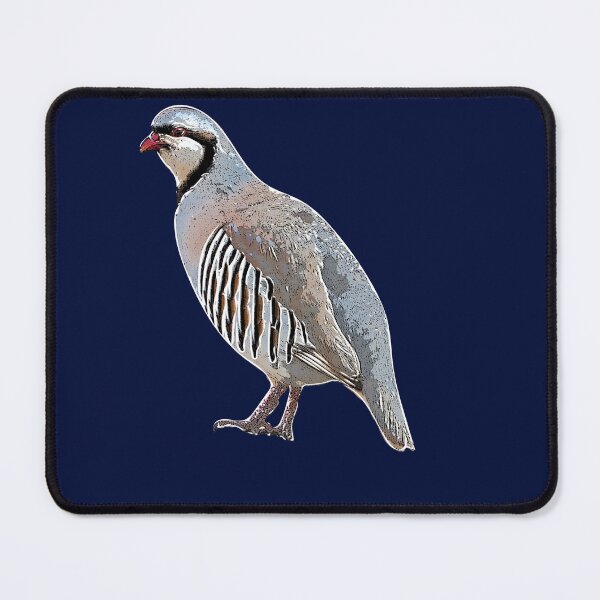 Item preview, Chukar White Alternate Design designed and sold by designsasstultd.