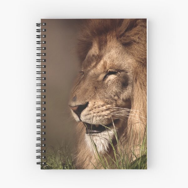 Item preview, Lion enjoys the sunshine designed and sold by MvMeer.
