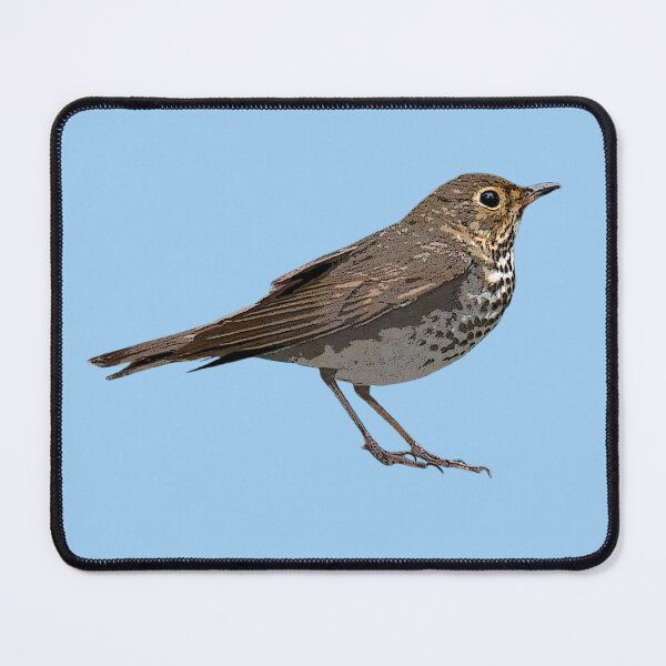 Item preview, Swainson's Thrush Color Design designed and sold by designsasstultd.