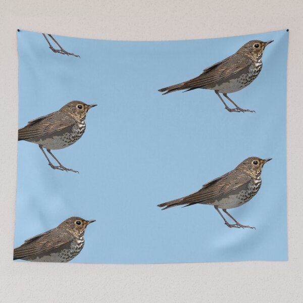 Item preview, Swainson's Thrush Color Design  designed and sold by designsasstultd.