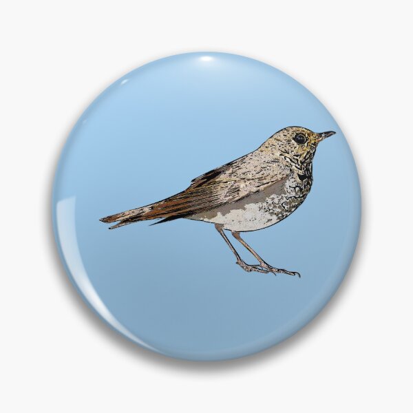 Item preview, Swainson's Thrush Black Alternate Design  designed and sold by designsasstultd.