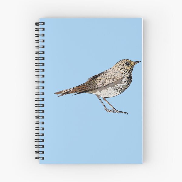 Item preview, Swainson's Thrush Black Alternate Design  designed and sold by designsasstultd.