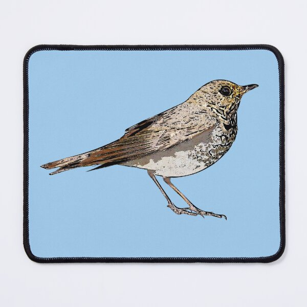Item preview, Swainson's Thrush Black Alternate Design  designed and sold by designsasstultd.