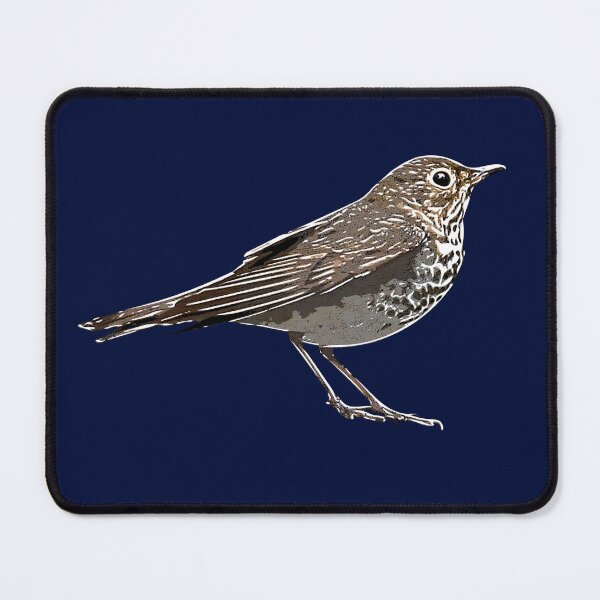 Item preview, Swainson's Thrush White Alternate Design designed and sold by designsasstultd.