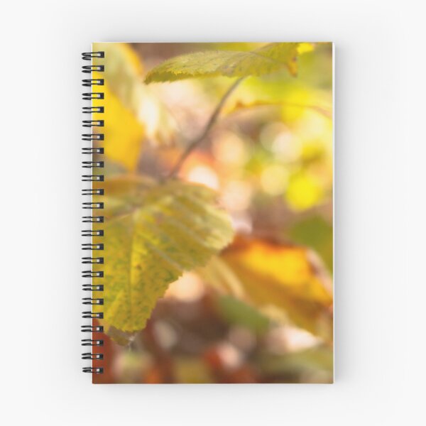 Aperçu de l'œuvre Feuilles d'automne ensoleillées créée et vendue par gingerfancy.
