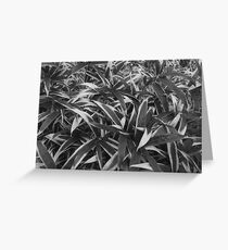 Textured Bamboo Greeting Card