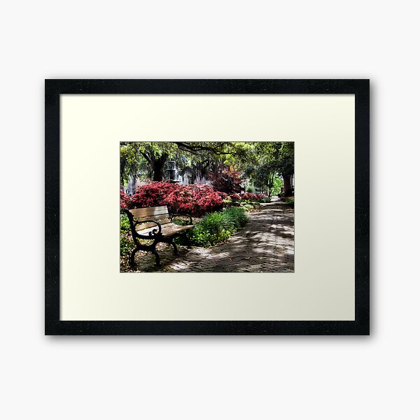 ~Savannah~ Framed Art Print