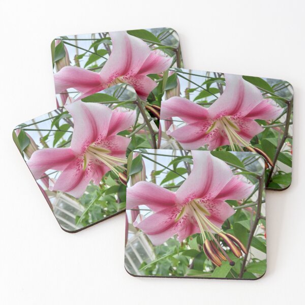 Item preview, Pink Lily flower. designed and sold by claireseyeview.