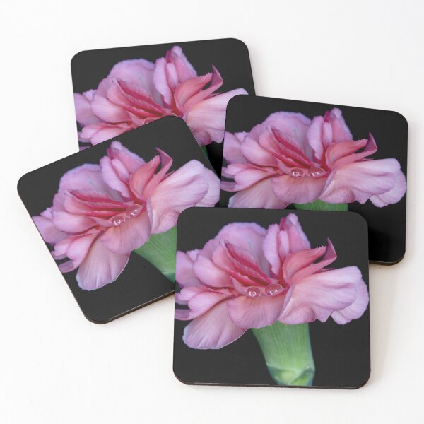 Item preview, Sleeping on a petal 4 designed and sold by Federpics.