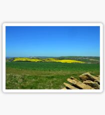 Fields of Gold and Green- Abbotsbury Dorset UK Sticker
