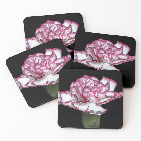 Item preview, Drops on a petal designed and sold by Federpics.