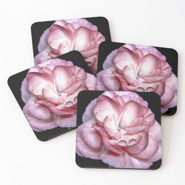 Item preview, Sleeping on a petal designed and sold by Federpics.