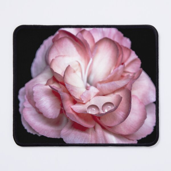 Item preview, Sleeping on a petal designed and sold by Federpics.