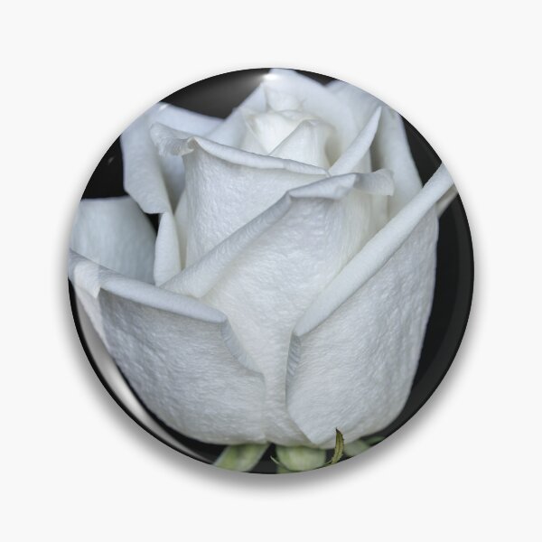 Item preview, White rose designed and sold by Federpics.