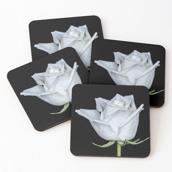 Item preview, White rose designed and sold by Federpics.