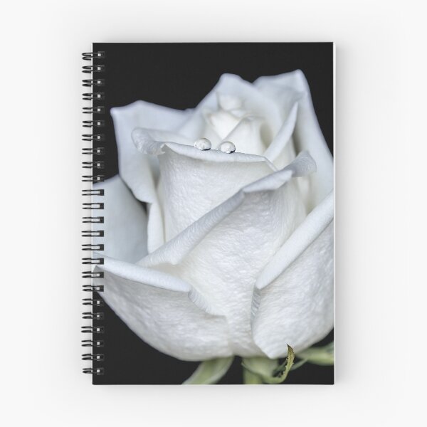 Item preview, Always together designed and sold by Federpics.