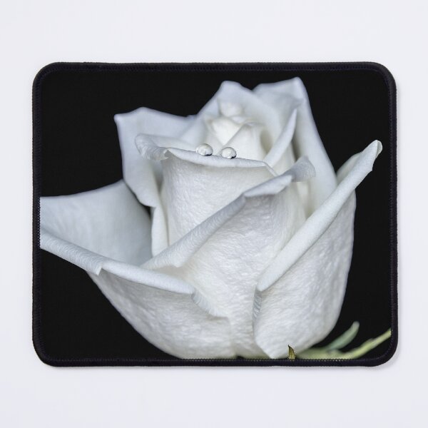 Item preview, Always together designed and sold by Federpics.