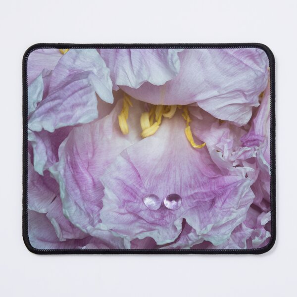 Item preview, Drops resting. designed and sold by Federpics.
