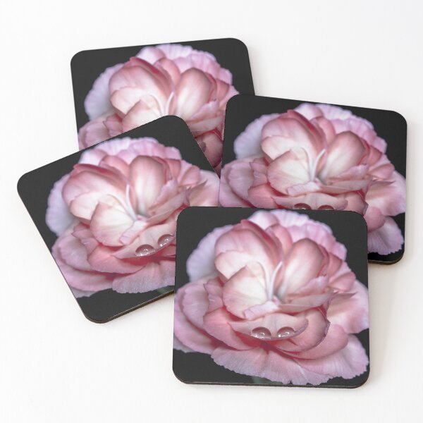 Item preview, Sleeping on a petal 3 designed and sold by Federpics.