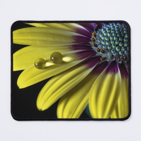 Item preview, Together. designed and sold by Federpics.