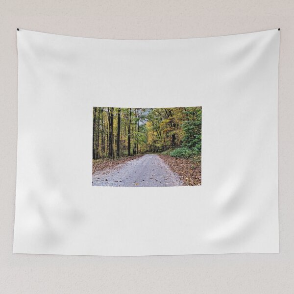 Item preview, Autumn Along A Country Road - Pennsylvania designed and sold by jtrommer.