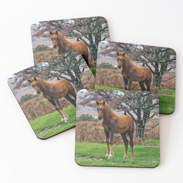 Item preview, The Bodmin Chestnut Colt designed and sold by Kat Simmons.