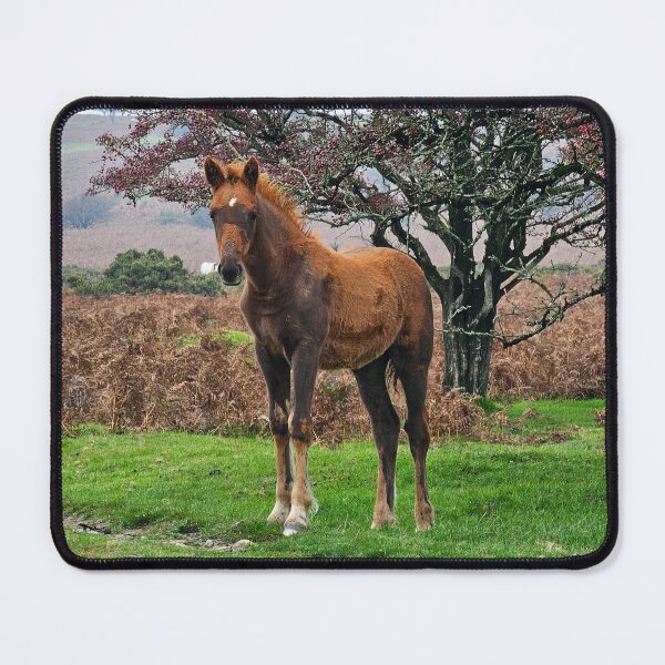 Item preview, The Bodmin Chestnut Colt designed and sold by Kat Simmons.