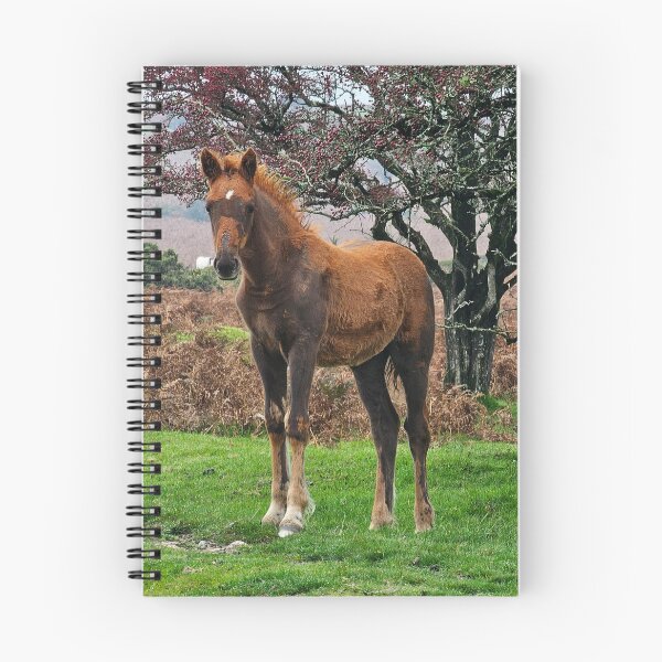 Artikelvorschau, Das Bodmin Chestnut Colt entworfen und verkauft von Kat Simmons.
