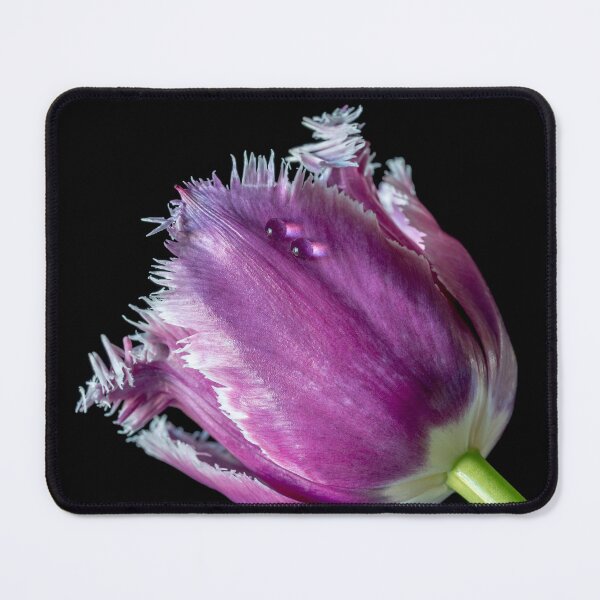 Item preview, Exotic purple tulip with drops designed and sold by Federpics.