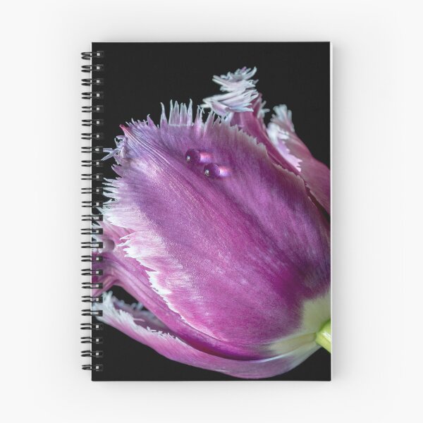 Item preview, Exotic purple tulip with drops designed and sold by Federpics.