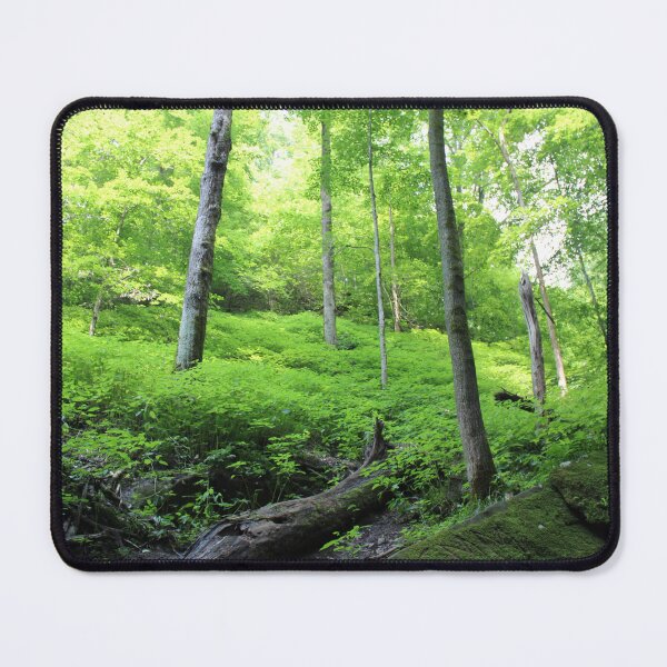 Item preview, Forest Haven designed and sold by Ayden Grey.