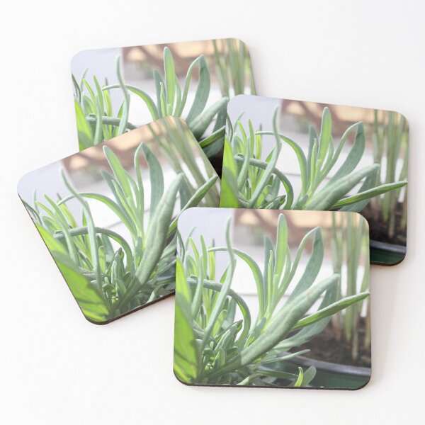 Item preview, Rosemary designed and sold by ViolaVenn.