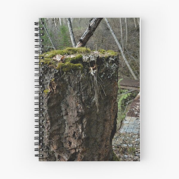 Item preview, path to the falls designed and sold by Amanda Huggins.
