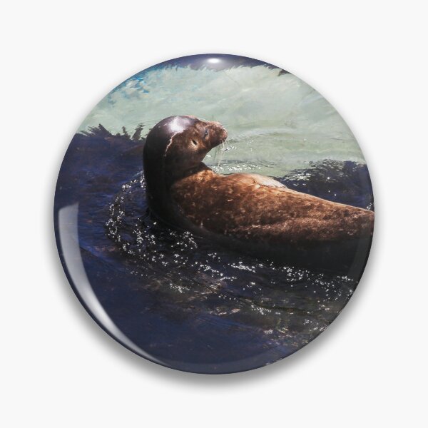 Item preview, Young Seal in Seaweed Water  designed and sold by heatherfriedman.