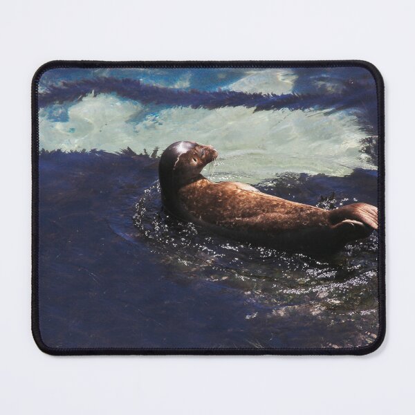 Item preview, Young Seal in Seaweed Water  designed and sold by heatherfriedman.